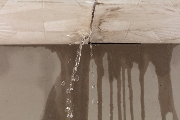 Professional Flood Damage Cleanup technician working in Brownton, MN